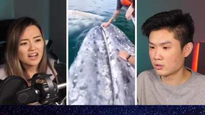 Grey Whale clip Henry + Jeannie react- Flashback