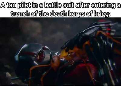 funny fact: In one story, when a Tau entered the trenches of the kriegs, they ended up charging at him like ants. 