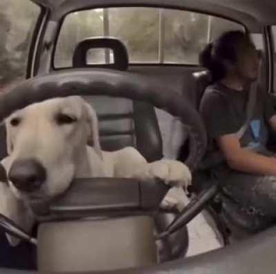 Que reviravolta, amigos.