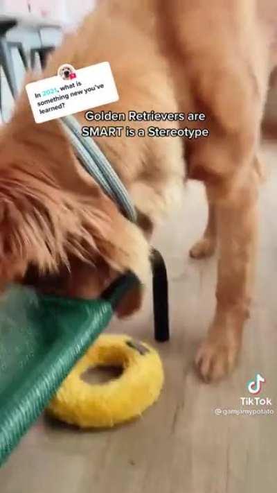 What is this sorcery?!