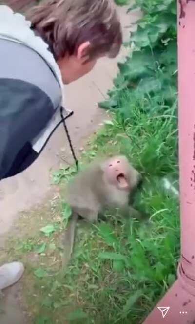 It kooks a little bad right now...