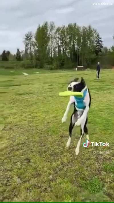 The look in his eyes...