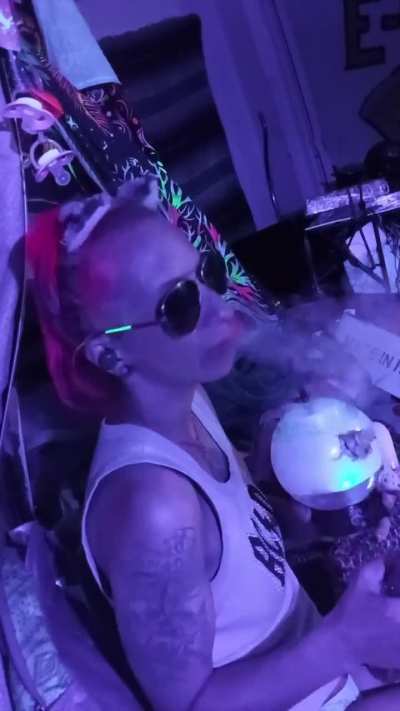 Window Peeking Wednesday!! 😶‍🌫️🫠🐈💯