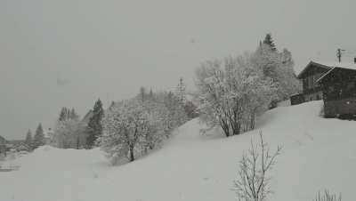 5 AM today. Still winter in Tromsø, Norway