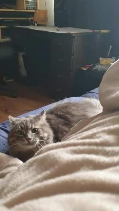 That sound you made...how disgusting.