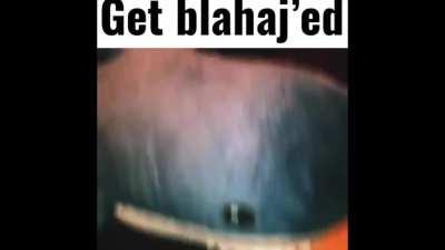 Get Blahaj’ed All credit to @TerryTriggerfish