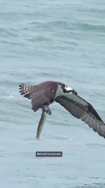 Very stable footage👏