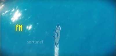 Me and the boys when we unlock iron nails