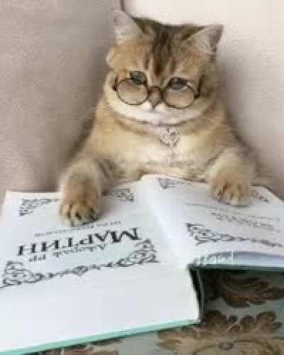 She do be reading tho