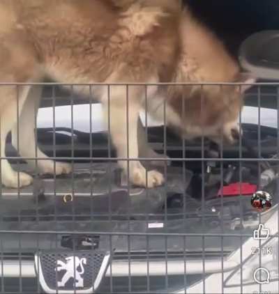 Could use a second opinion