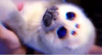 A classic by slonker_