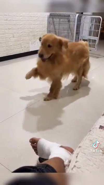 Only best friends make fun of each other