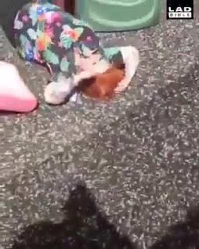 HMC while I stress test this slide