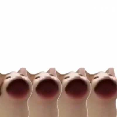 I didn’t make the images, but I am the one who edited them to sing correctly