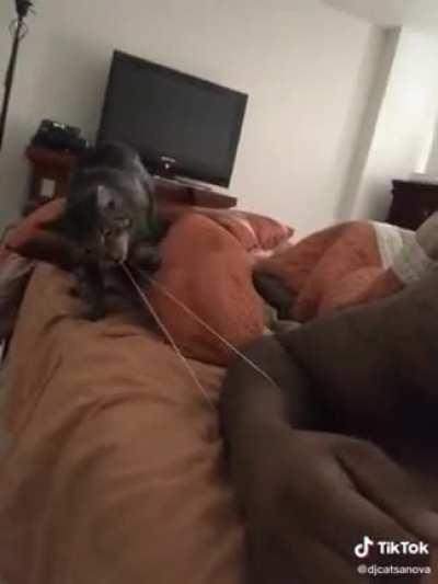 he knew exactly what he was doing