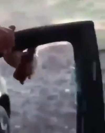 Excellent idea, a true genius.