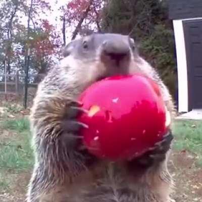 Gencolar redditten arakladığım şeyleri instagramda paylaştığım bir sayfam var, takip edip destek olursanız sevinirim.  