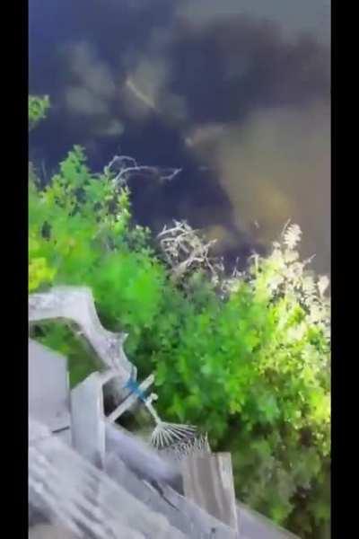 chilling at the edge.