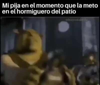 AAAAA no lo intenten banda