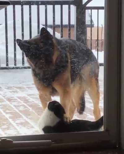 MRW someone ignores me