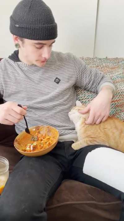 My boys 🧡 Cheeseburger is very polite, he is just happy to get sniffs of the human food