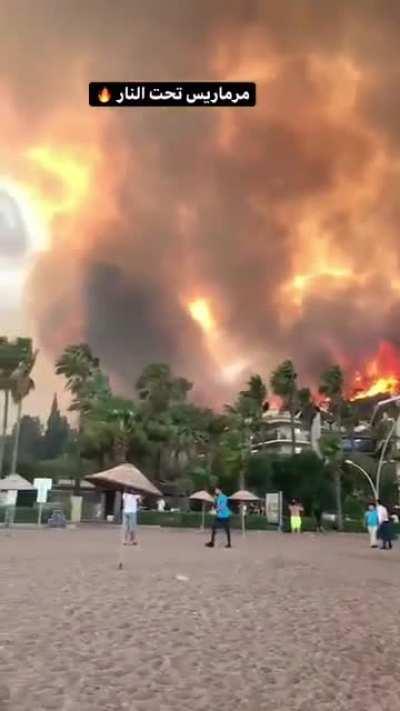 Video from the fires in Turkey in the last few days