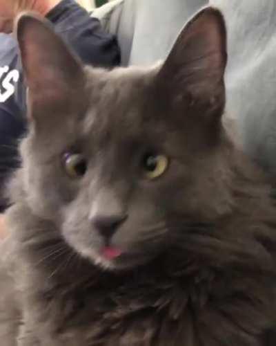 MRW I wake up in the middle of an online class and there complicated math all over it