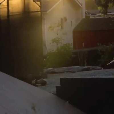 WCGW Not knowing how to do the skate ramp