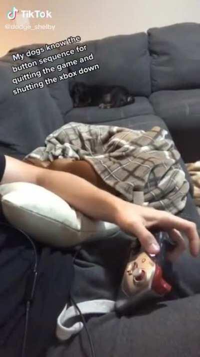 Who needs Elon Musks Nueralink