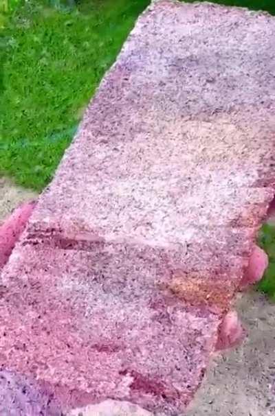 One of the best I've seen