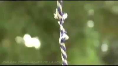 BeelcitosMemes - Video #4699