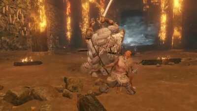 Whenever you accidentally thrust vs Owl