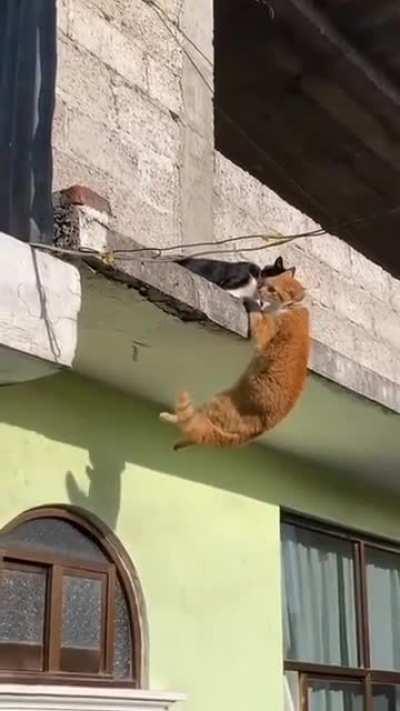 Почти эпично