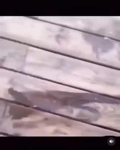 Damn 💀 made her p*ss herself