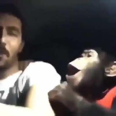 Please make the upvoted % as low as possible on this post