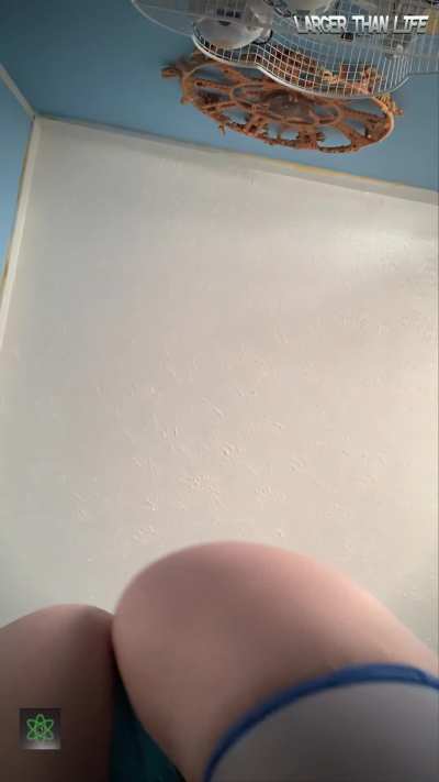 Would you worship Sugar’s giantess ass? 🤯