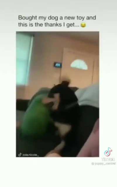 But she bought the toy!