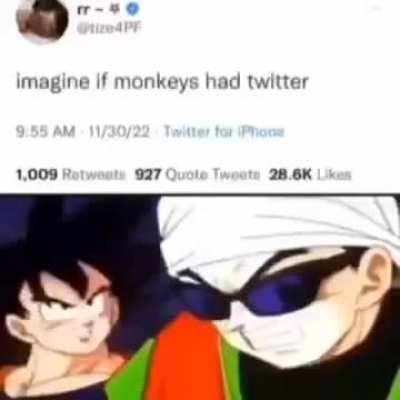 Losercity Monkeying Around