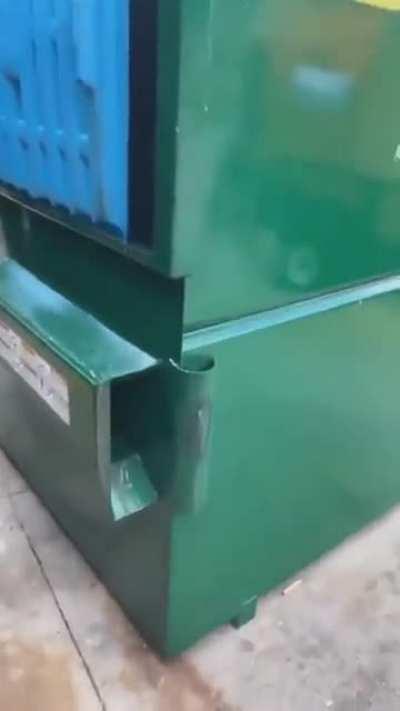 WCGW harassing Raccoons