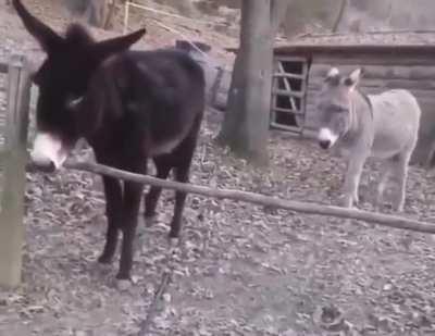 There's always that one smart ass