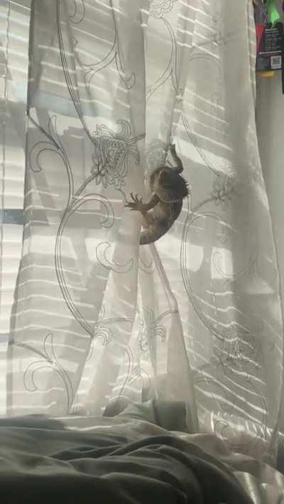 *Mission Impossible Theme Plays*