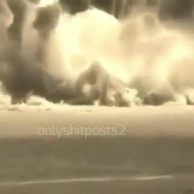 🐦 Wewewewe 🤨 (what da dog doin?)