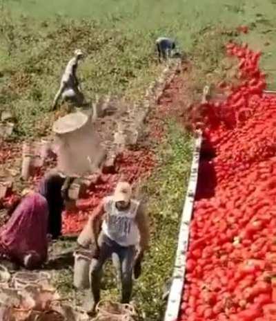 Gravity, acceleration, friction, thermodynamics, vector force, momentum all in one