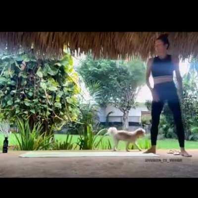 Doing Yoga in a farm.