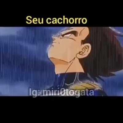 Alguem percebeu meu desaparecimento? 😳👉👈