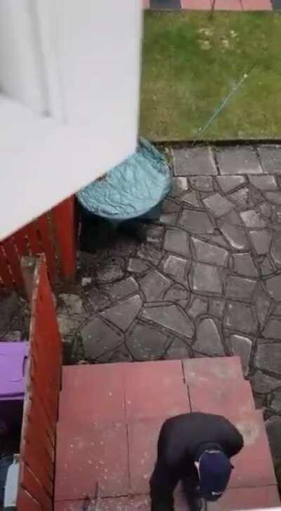 An absolute classic surely?