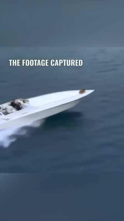 Chicken: An answer to camera shake