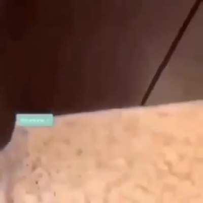 my mistake original gangster