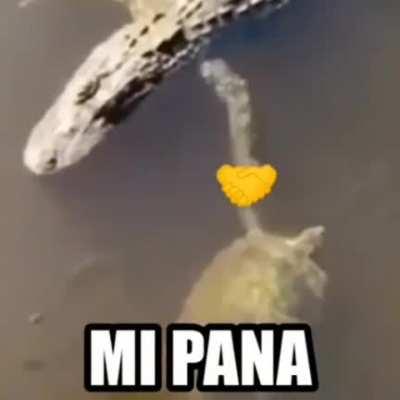 😎👍💝💖💝💖💖💞💝💖💝💞💕💖💕💖💝💞💝