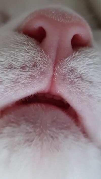 Just gonna leave this here